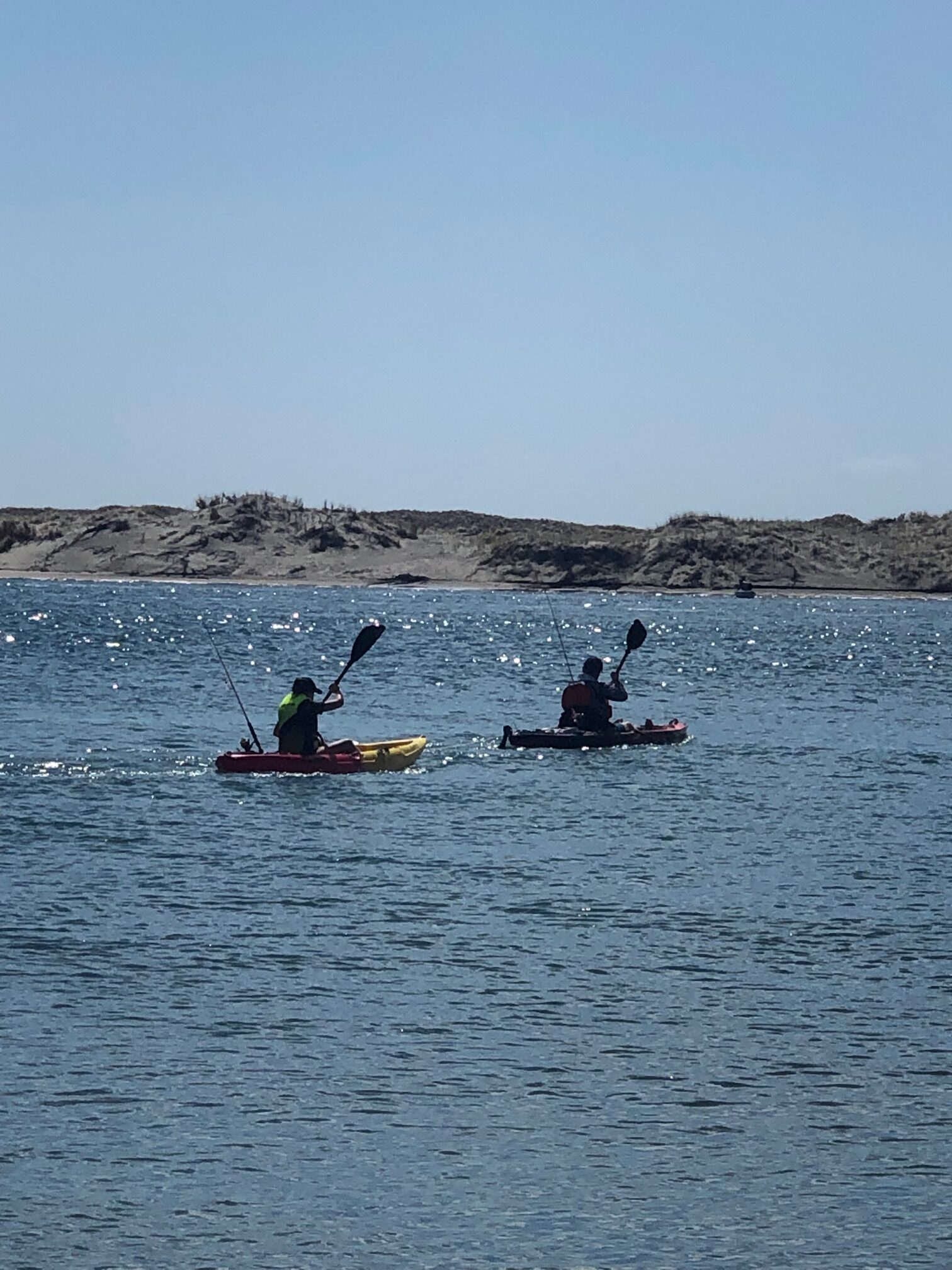 Bruce Ellis - New Zealand Bruce Ellis - New Zealand