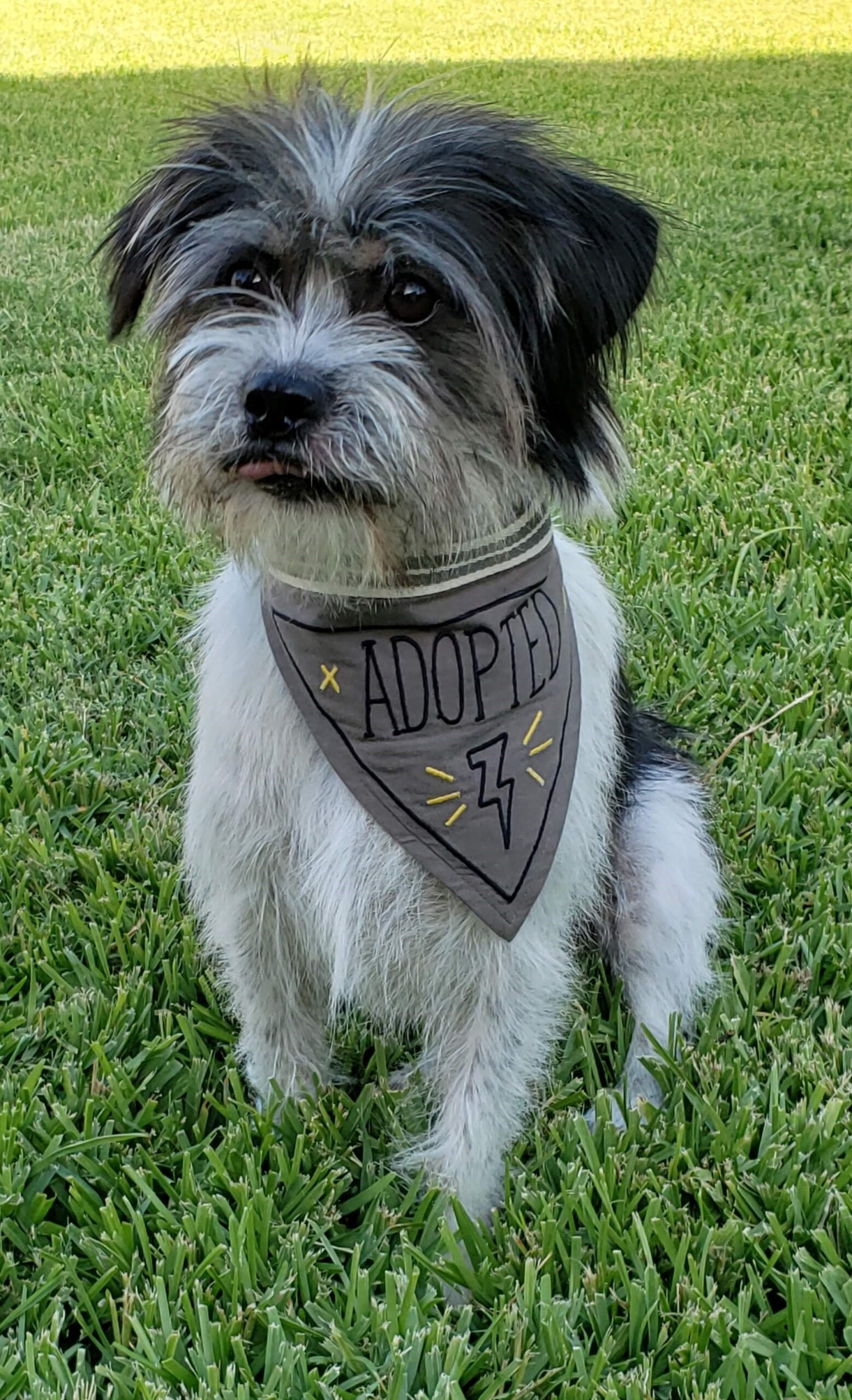 Edith Santos – Texas, USA Edith Santos – Texas, USA