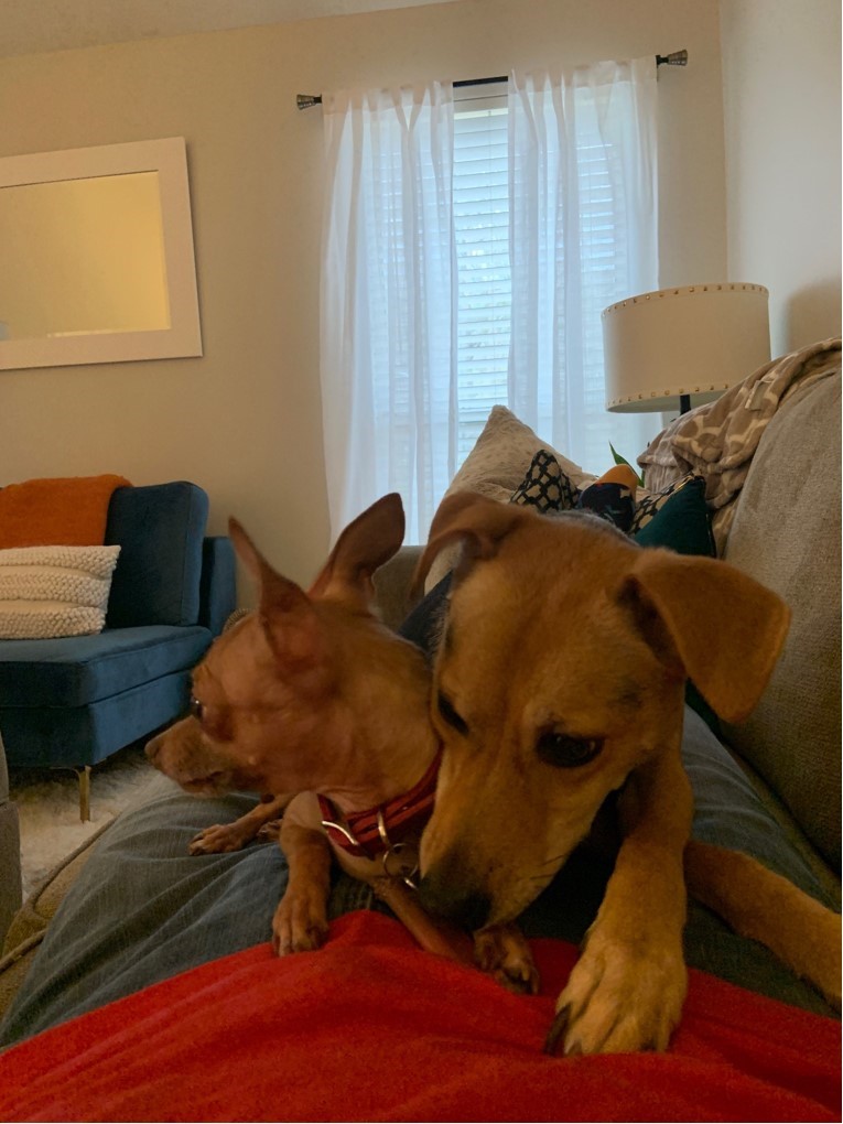 Farand Wasiak – South Carolina, USA Farand Wasiak – South Carolina, USA