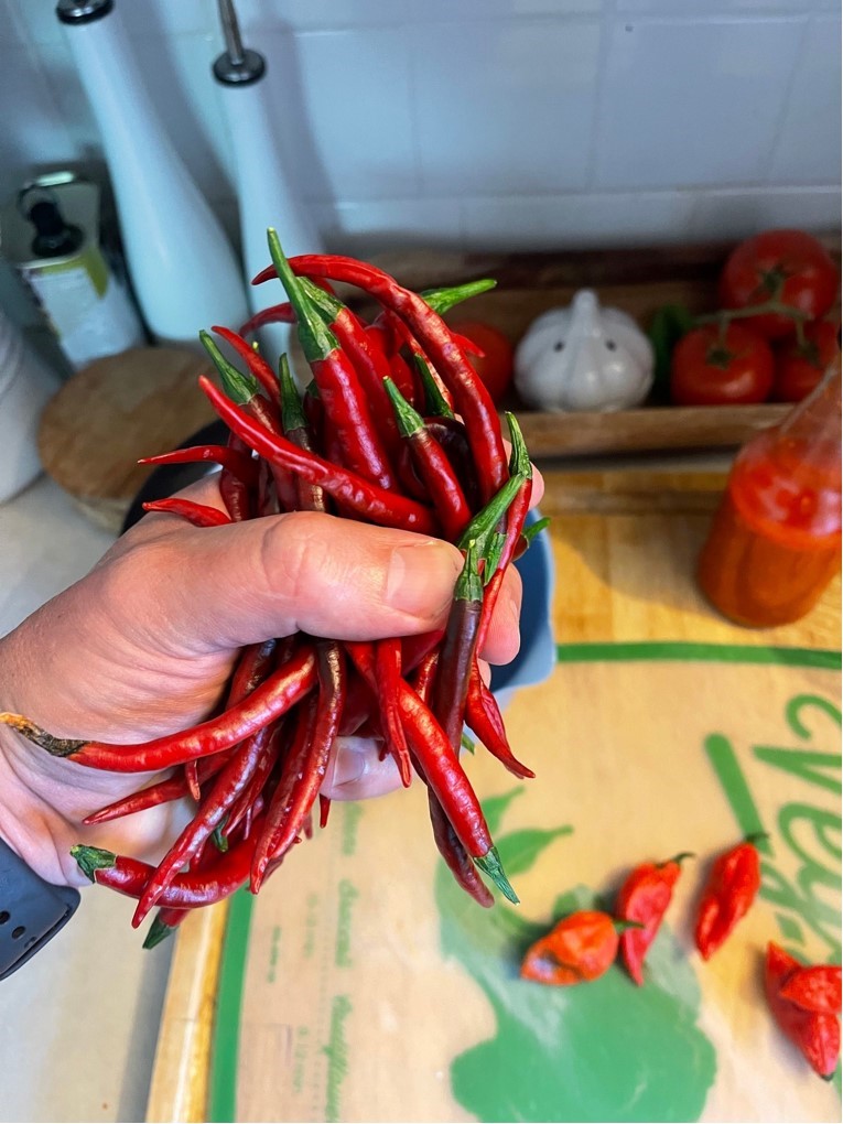 Farand Wasiak – South Carolina, USA Farand Wasiak – South Carolina, USA