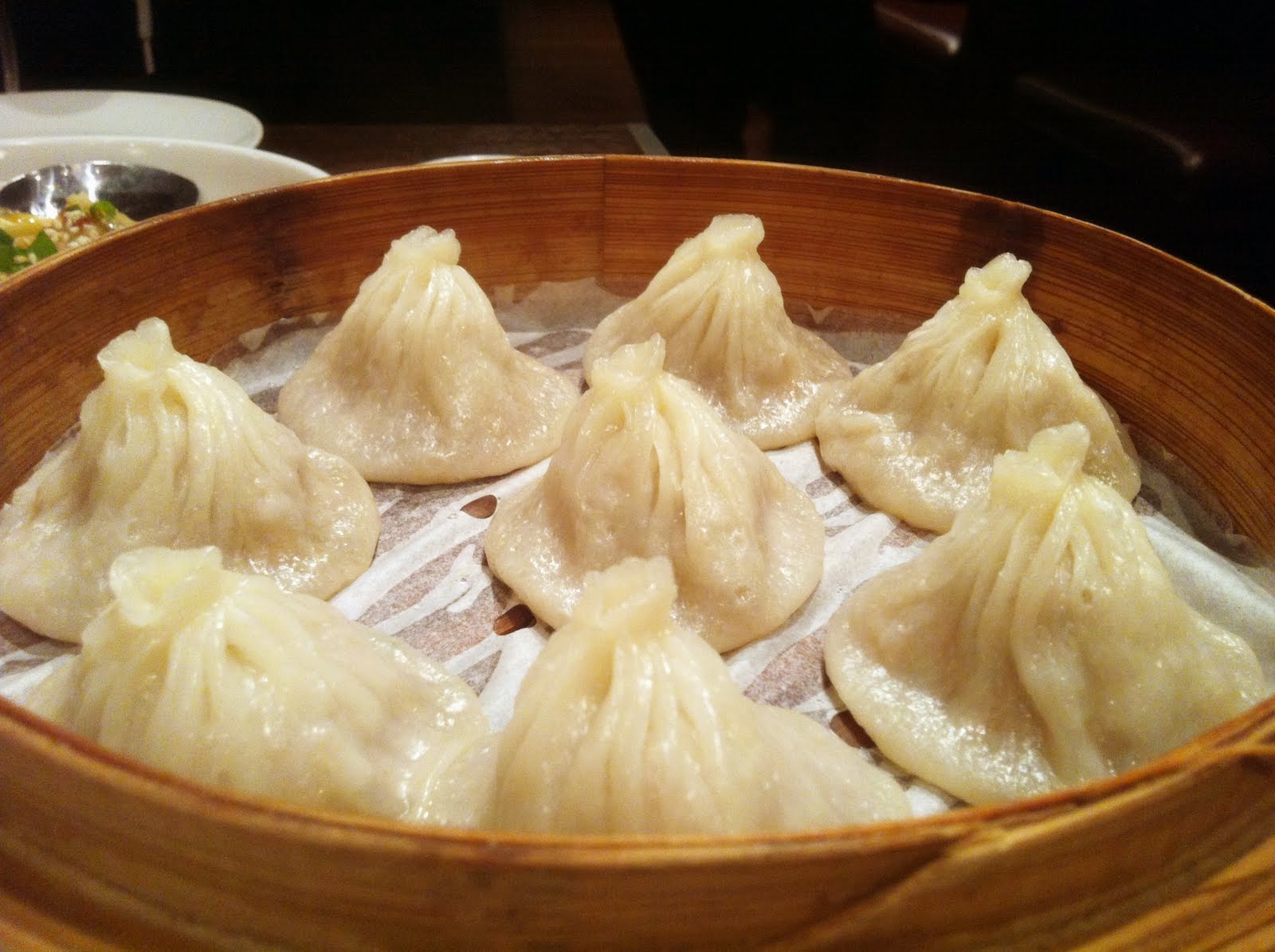 Darren Freestone – Melbourne, Victoria, Australia Darren Freestone – Melbourne, Victoria, Australia