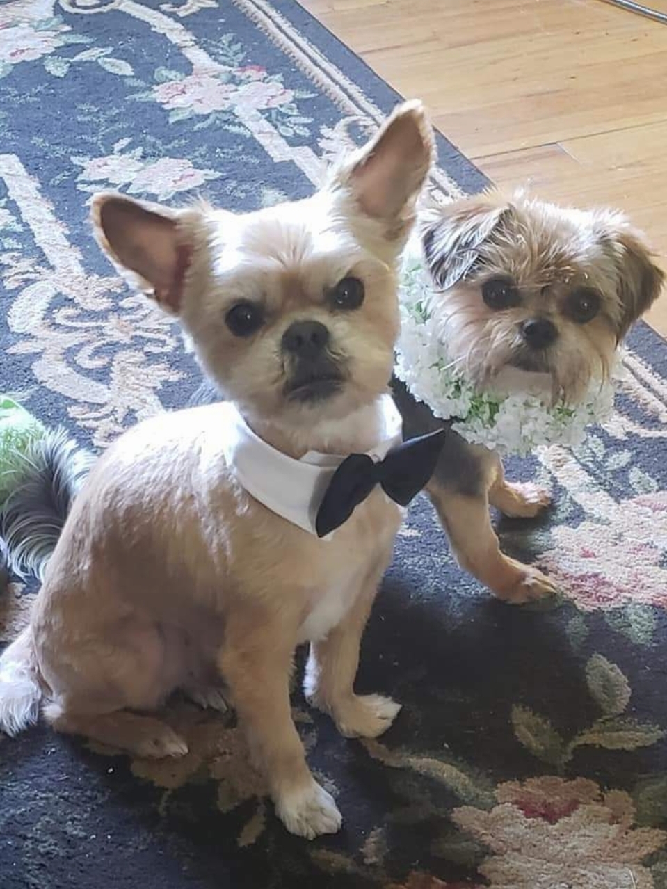 Kaylin Malutich – Pittsburgh, Pennsylvania, USA Kaylin Malutich – Pittsburgh, Pennsylvania, USA