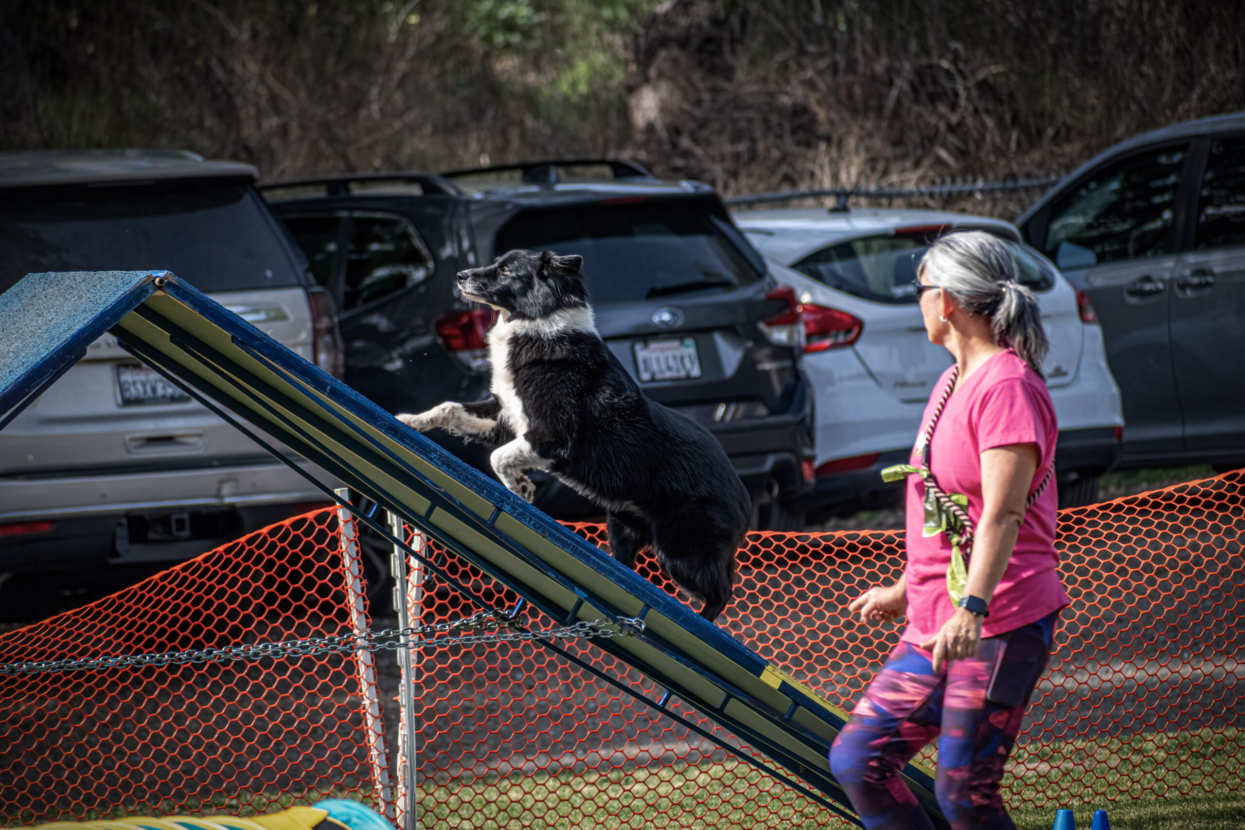 KATHLEEN SHANE – SAN DIEGO, CA, USA KATHLEEN SHANE – SAN DIEGO, CA, USA